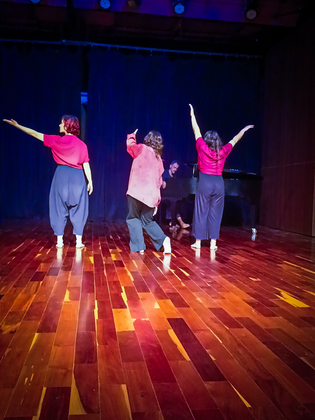 Companhia Dancalem em palco
